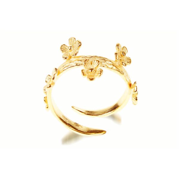 Iberischer Ring - Gold